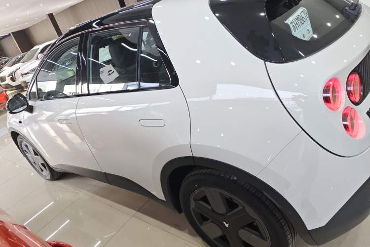 Used firefly firefly 2025 Free Edition