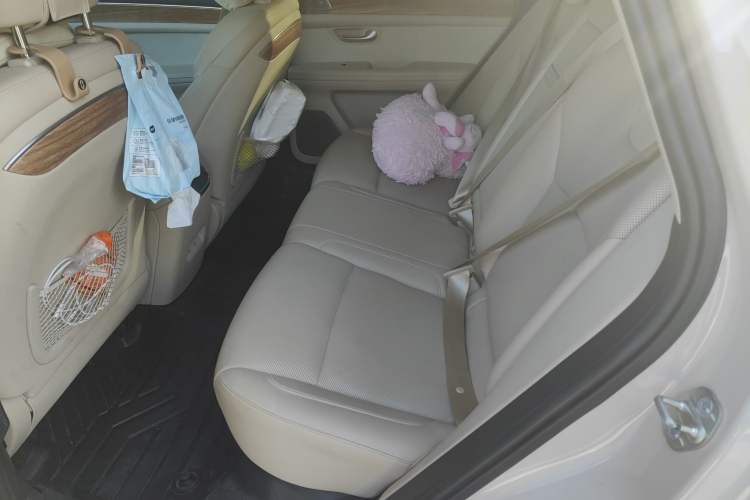 Used Hima AITO M5 2022 Pure Electric All-Wheel-Drive Performance Edition Left Rear Seat