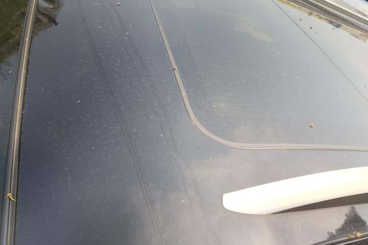 Used FORTHING T5 2018 230T Manual Smart Enjoyment Model
