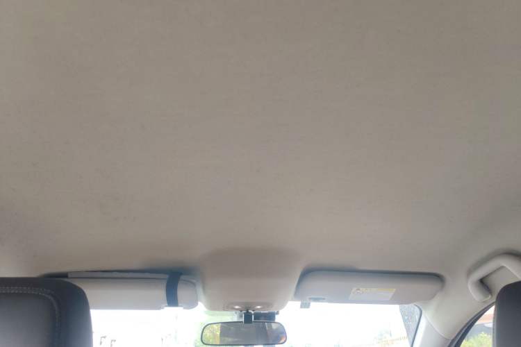 Used BYD e2 2021 Luxury Model Headliner