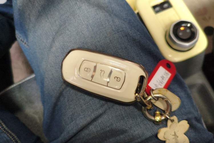 Used Geely Galaxy Panda 2023 Panda Mini 200km Dynamic Bear
