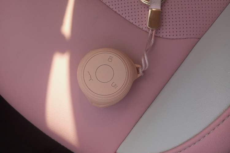 Used NETA V 2022 Chao 400 Lite Pink Custom Edition Vehicle Key