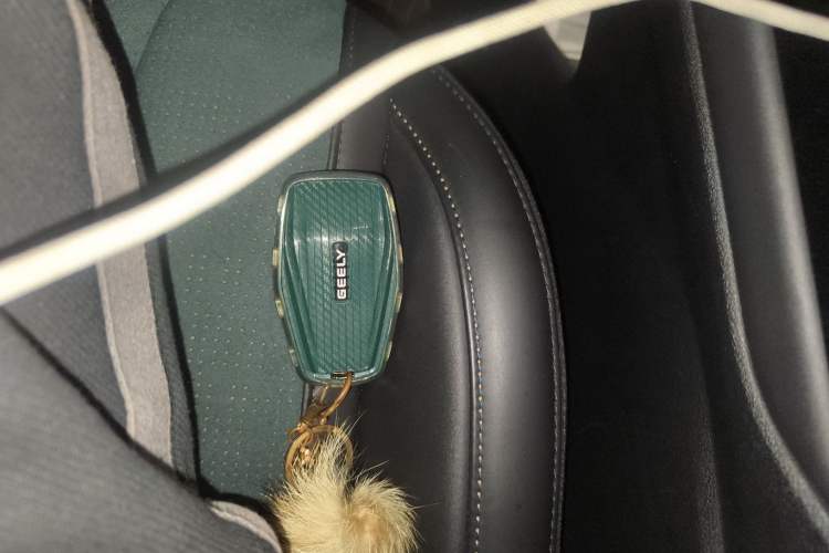 Used Geely Auto Monjaro L 2021 2.0TD DCT EVO Two-Wheel Drive Prestige Version
