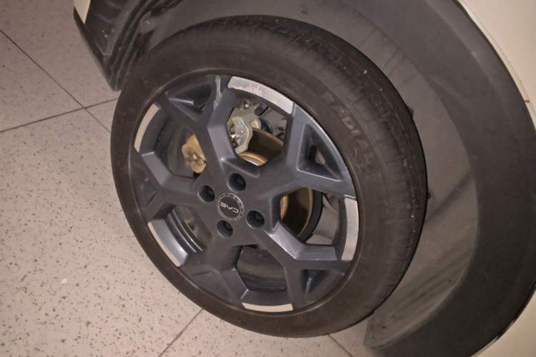 Used BYD Seagull 2025 Smart Drive Version 305 km Freedom Edition
