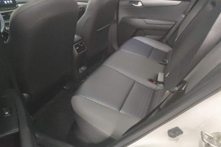 Used Kia Sportage R 2019 2.0L Automatic Smart Luxury Edition Left Rear Seat