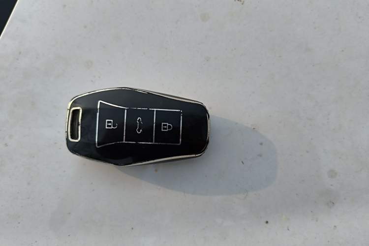 Used SOL E10X 2022 Flower Fairy Design Four-Leaf Clover