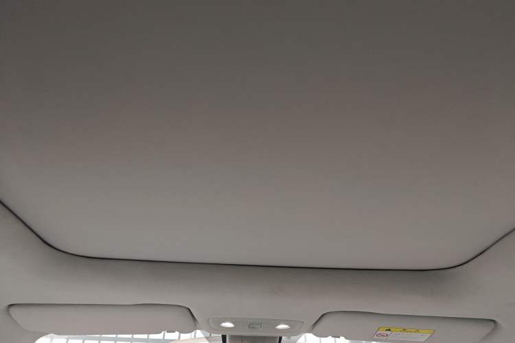 Used Leapmotor T03 2023 403 Smart Edition Headliner