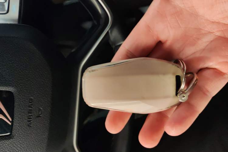 Used SOL E10X 2022 Flower Fairy Style Baby's Breath