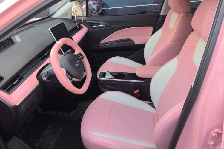 Used NETA V 2021 Witch Edition