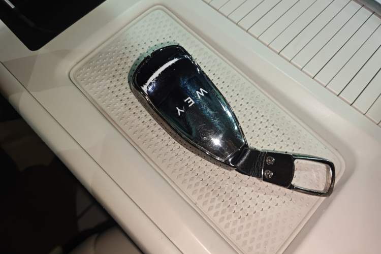 Used Wey Lanshan 2023 Four-Wheel Drive Ultra-Long Range Version