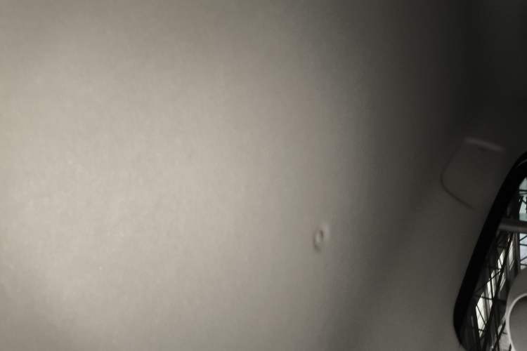 Used ORA Black Cat 2019 301km Standard Edition
