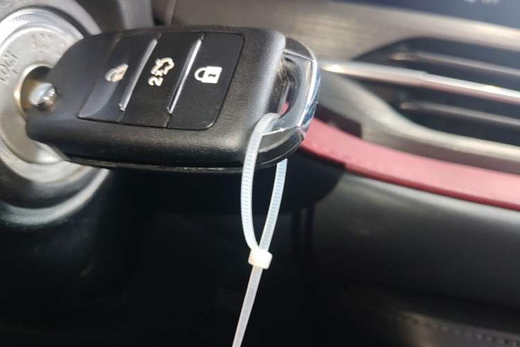 Used CHANGAN CS55PLUS 2020 1.5T Manual Colorful Model