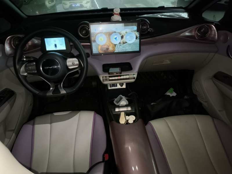 Used BYD Dolphin 2021 405 km Fashion Edition — 9