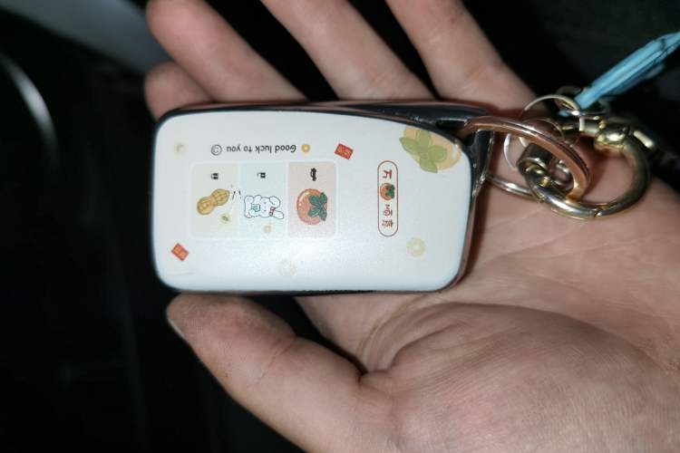 Used Lexus NX 2020 200 Front-Wheel Drive Freeline Edition China VI Standard Vehicle Key