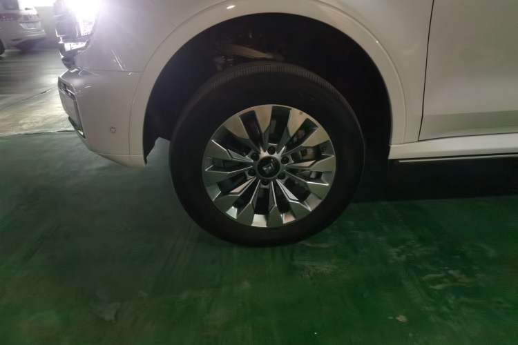 Used Tank 500 New Energy 2026 Model—Hi4-T Smart Enjoyment Version
