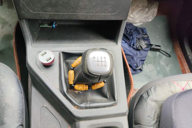 Used Wuling Hongguang PLUS 2019 1.5T Manual Standard Edition 5 Seats