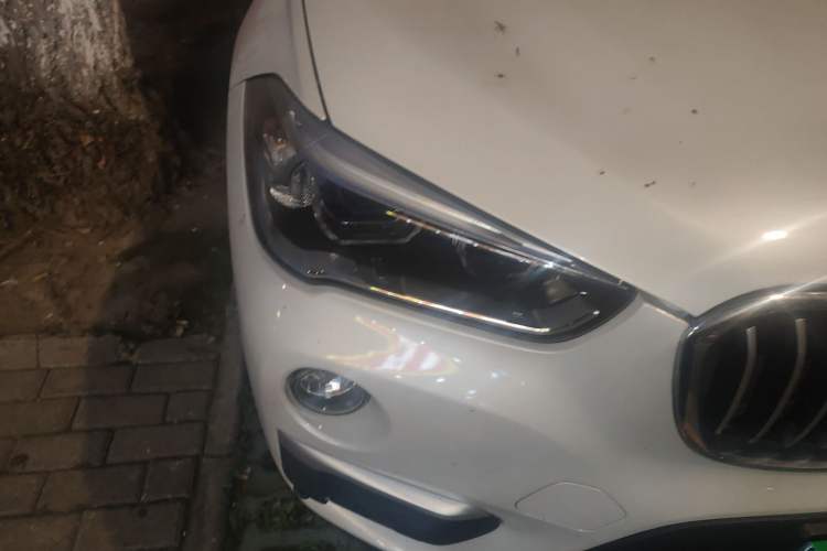 Used BMW X1 2018 xDrive20Li Luxury Edition