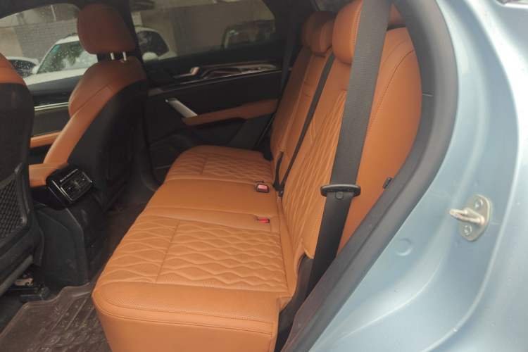 Used BYD Tang New Energy 2023 DM-i Champion Edition 112KM Prestige Model Left Rear Seat