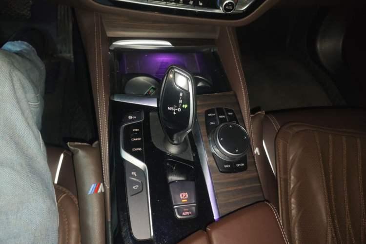 Used BMW 5 Series 2020 530Li Leading Edition Luxury Package
