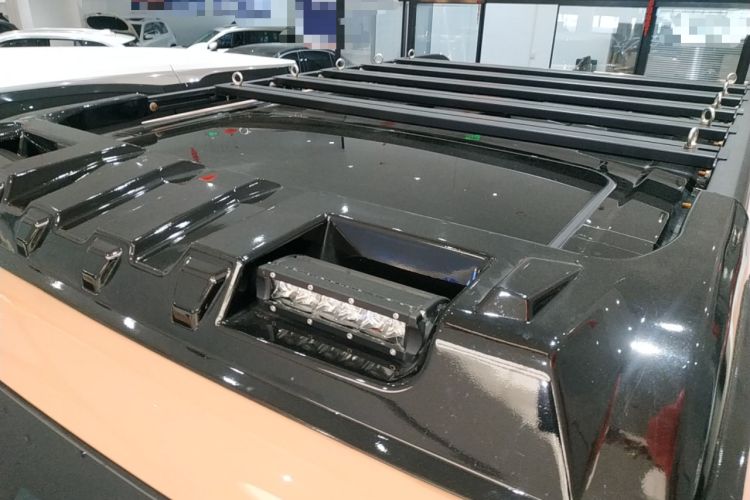 Used Tank 300 2024 2.0T Conqueror