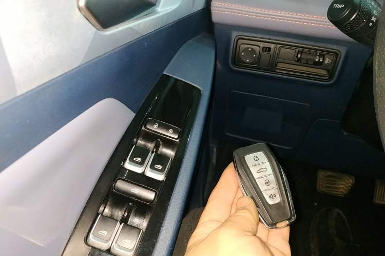 Used Geometry E Firefly 2022 320KM Cute Tiger 4-Seater
