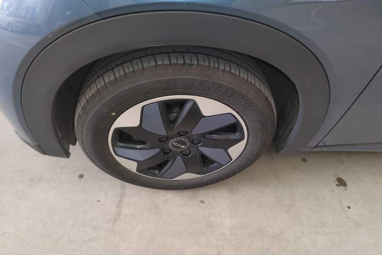 Used BYD Dolphin 2025 420km Free Edition
