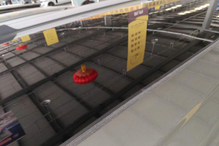 Used Haval Raptor New Energy 2023 Hi4 145 Explorer Edition