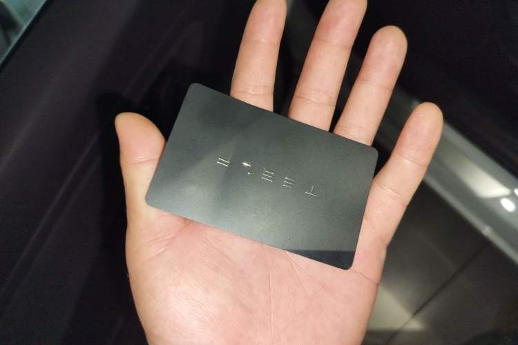 Used Tesla Model 3 2019 Long-Range Rear-Wheel-Drive Version
