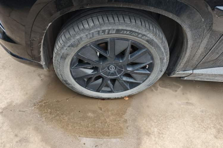 Used GAC Trumpchi Xiangwang S7 2025 205 km Max LiDAR Version
