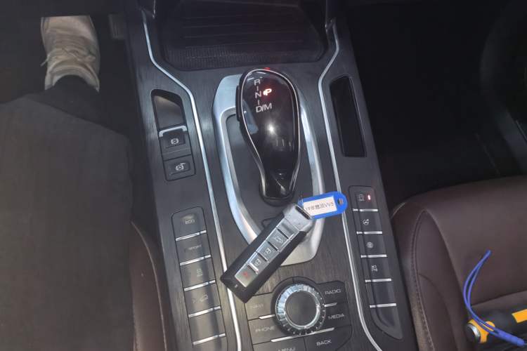 Used Wey VV5 2019 1.5T Two-Wheel Drive Color Pioneer
