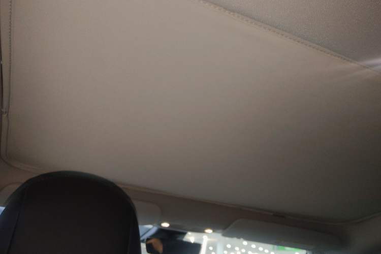 Used Tesla Model 3 2020 Standard Range Rear-Wheel Drive Upgraded Version Headliner