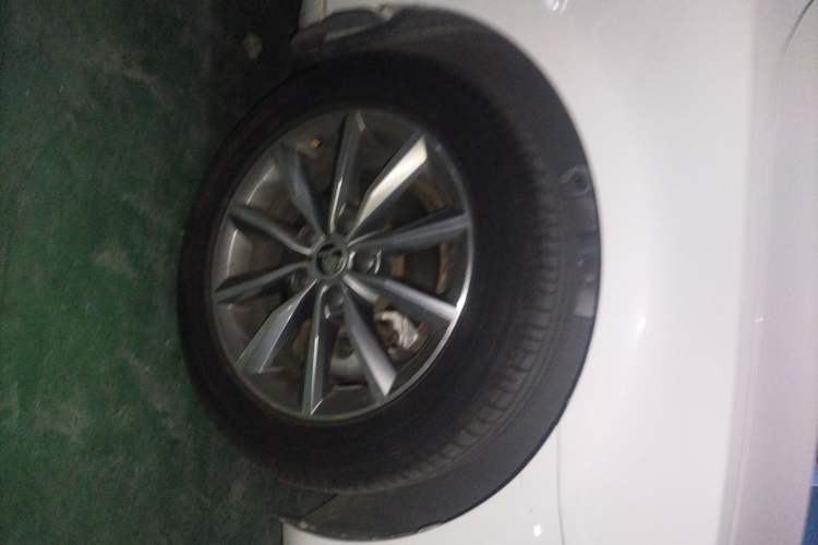 Used Skoda Octavia 2020 1.5L Manual Standard Edition Exterior 4