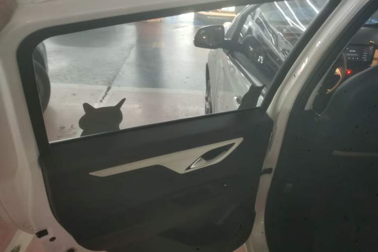 Used SOL E10X 2022 Flower Fairy Design Four-Leaf Clover