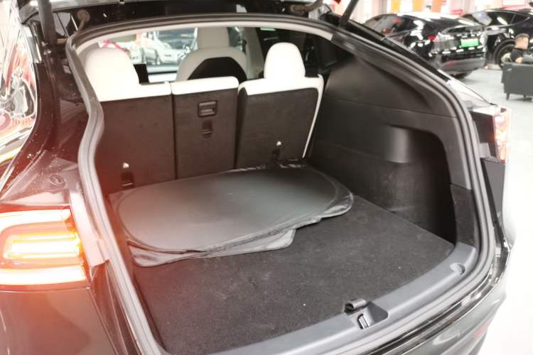 Used Tesla Model Y 2021 Standard Range Rear-Wheel Drive Version
