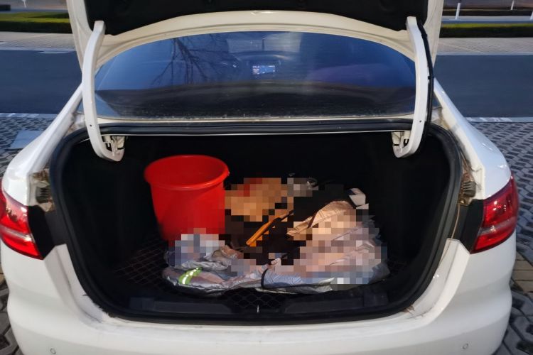 Used Ford Escort 2019 Revised 1.5L Automatic ZhiXiang Version (Tire Pressure Monitoring) China VI Standard