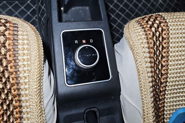 Used Dayun Yuehu 2022 30.66 kWh Two-Wheel Drive Standard Version