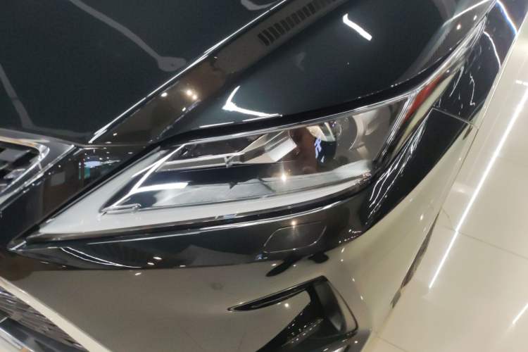 Used Lexus RX 2020 300 Two-Wheel Drive Elite Edition China VI Standard