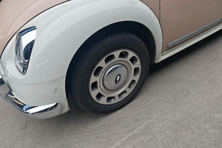 Used ORA Ballet Cat 2023 401 km Luxury Version Exterior 4