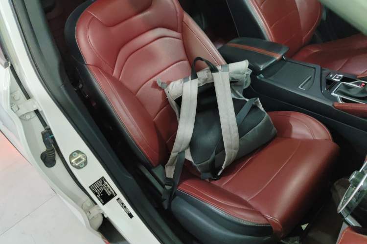 Used Dongfeng Fengon 500 2022 1.5L CVT Luxury Edition Right Front Seat