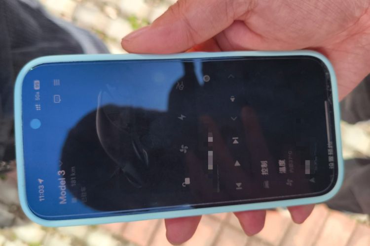 Used Tesla Model 3 2025 Model Revised Rear-Wheel-Drive Version
