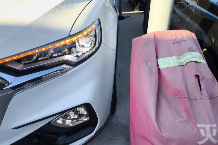 Used Hongqi HS5 2019 2.0T Smart Connect Flagship Edition
