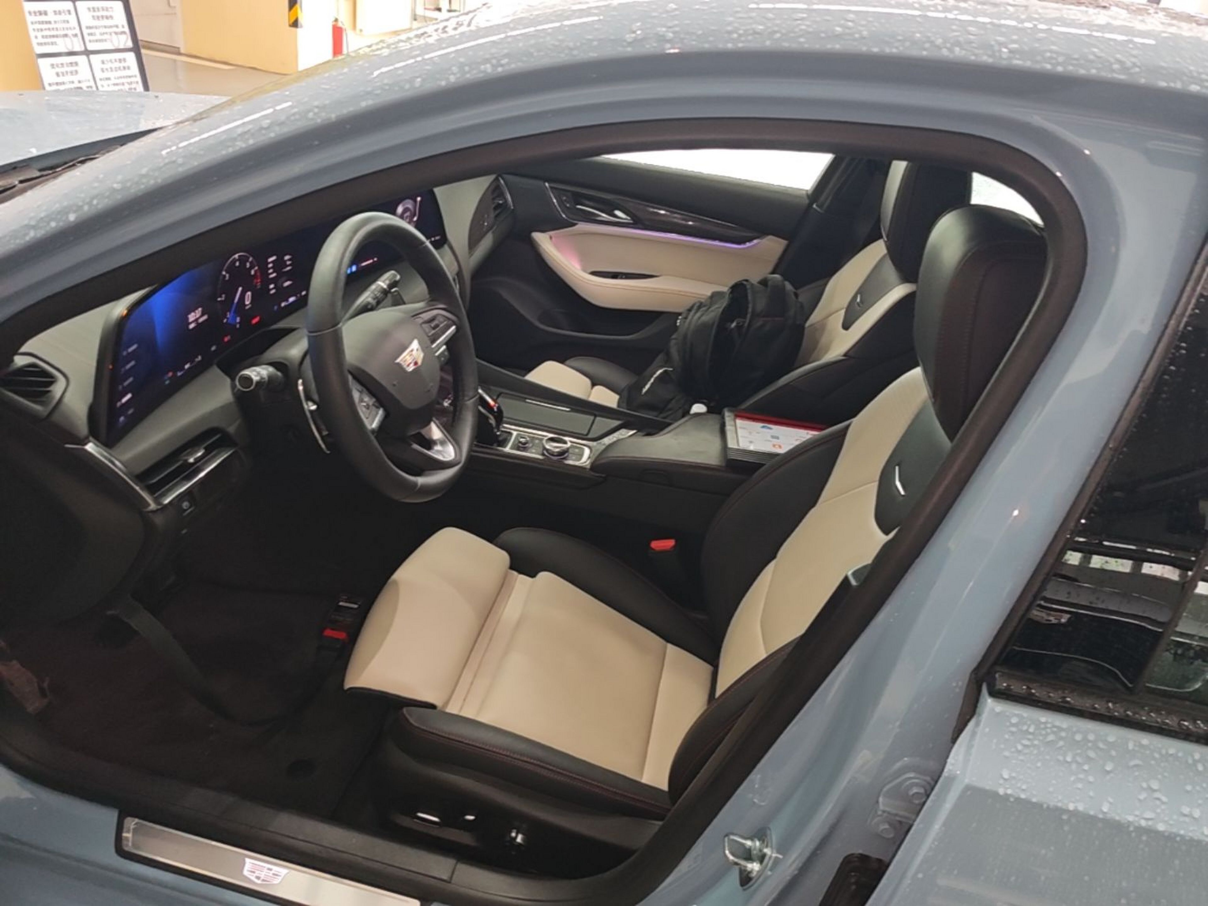 Interior delantero