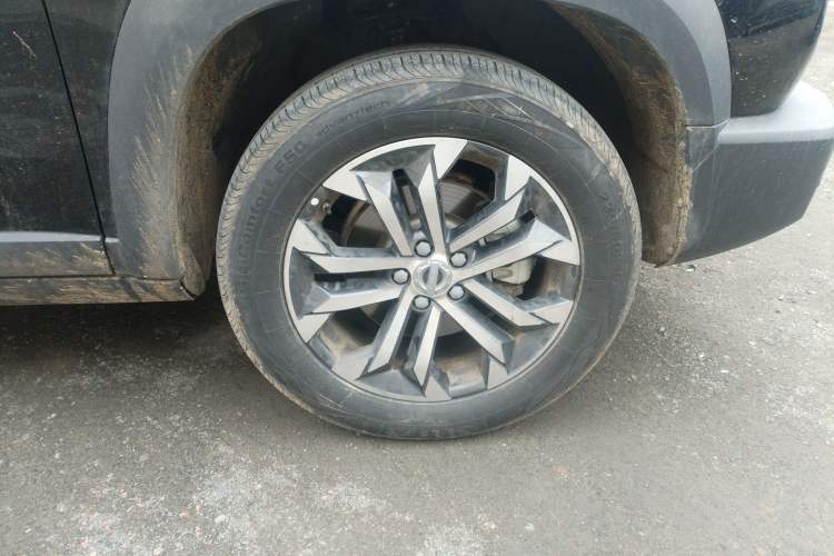 Used Haval DARGO 2022 1.5T DCT Two-Wheel Drive Border Collie Edition