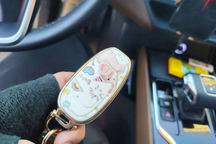 Used Hongqi E-QM5 2024 610 km PLUS
