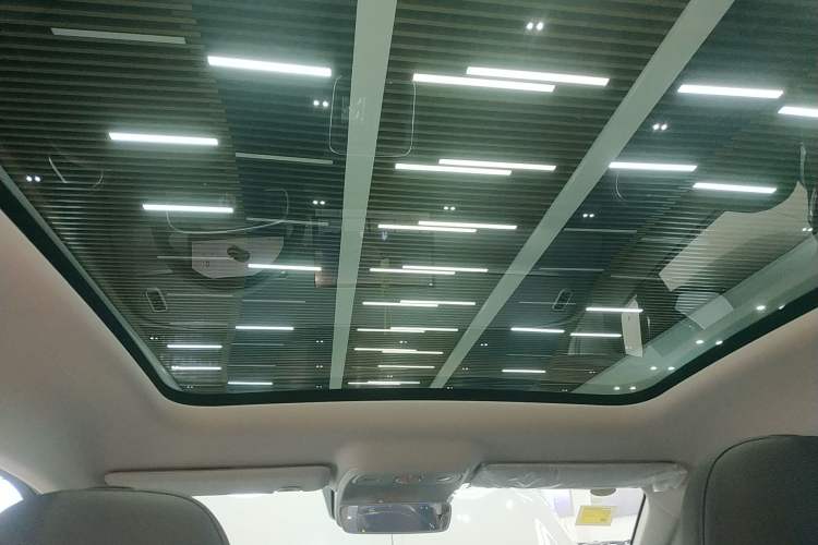 Used Leapmotor C10 2026 605 Enjoyment Edition Headliner