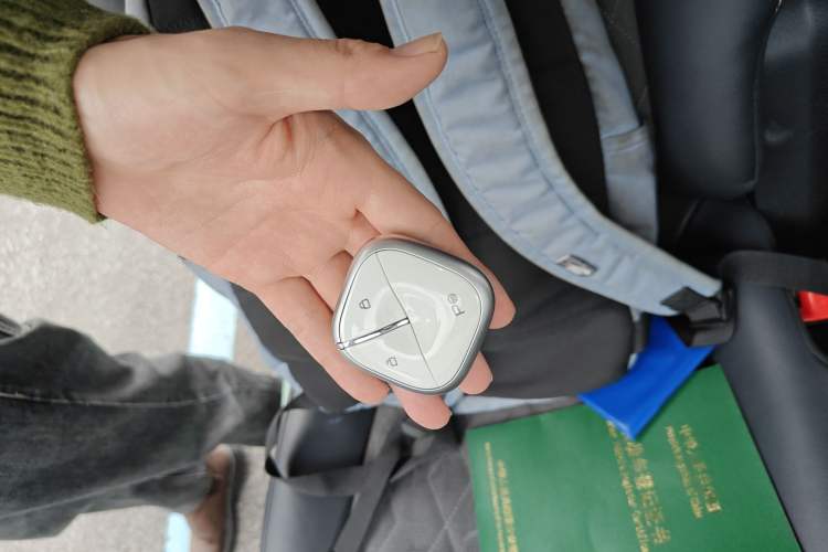 Used Baojun KiWi EV 2023 DJI Edition Lithium Iron Phosphate