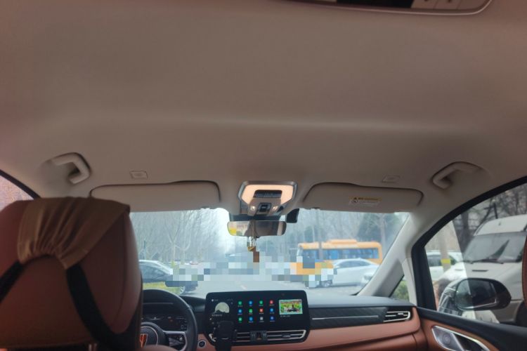 Used Hongqi HQ9 PHEV 2024 2.0T Four-Wheel Drive Business Edition Headliner