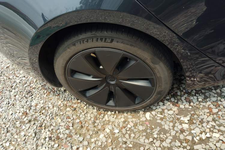 Used Tesla Model 3 2023 Rear-Wheel-Drive Version Exterior 5