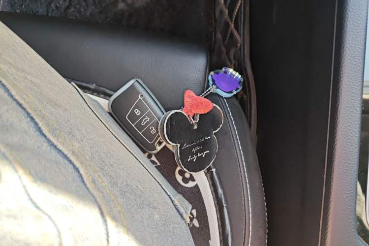 Used Volkswagen Magotan 2020 330TSI DSG Leading Model
