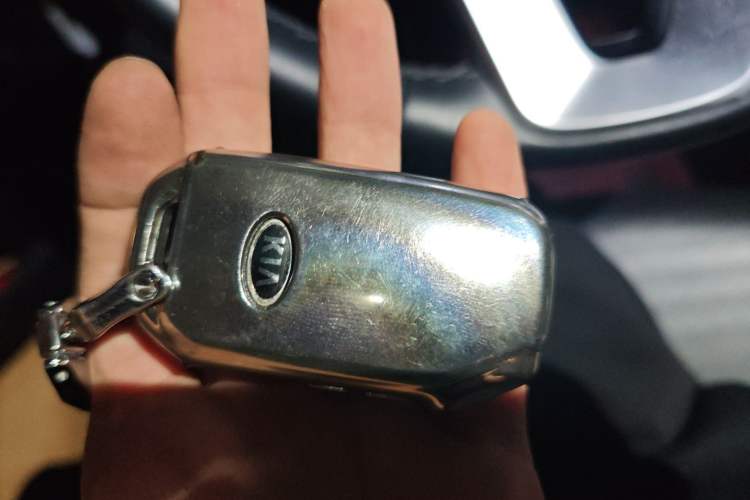 Used Kia Sportage R 2019 2.0L Automatic Smart Luxury Edition
